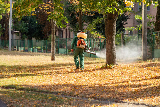 Best Rat Extermination Near Me  in Pittsfield, MA